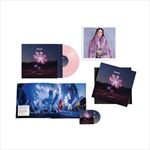 Der-letzte-Rave-Fanbox-39-Vinyl