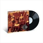 Diary-Of-A-Mad-Band-22-Vinyl