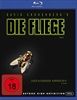 Die-Fliege-2162-
