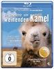 Die-Geschichte-vom-weinenden-Kamel-BR-27-Blu-ray-D