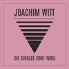 Die-Singles-198119852023-Remastered-98-Vinyl