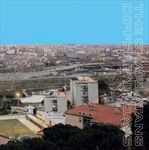 Different-Days-LP-174-Vinyl