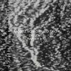 Dissent-9-Vinyl