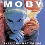 EVERYTHING-IS-WRONG-13767-Vinyl