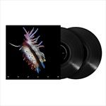 EVOLVE-2LP-30-Vinyl