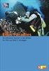 Edis-Paradies-2065-DVD-D