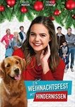 Ein-Weihnachtsfest-mit-Hindernissen-261-DVD-D