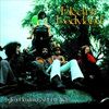 Electric-Ladyland-50th-Anniversary-Deluxe-Editio-4388-Vinyl
