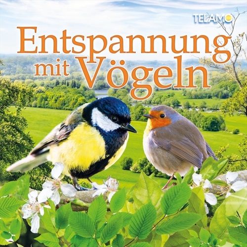 Jetzt bestellen!