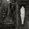 Estuary-transp-orangeblack-marbled-LP-6-Vinyl
