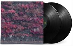 Even-In-Arcadia-opaque-black-8-Vinyl