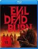 Evil-Dead-Burn-Blu-ray-D