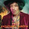 Experience-Hendrix-The-Best-of-Jimi-Hendrix-1615-Vinyl