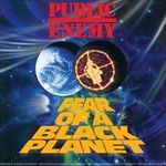 FEAR-OF-A-BLACK-PLANET-3462-Vinyl