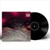 FLOWERS-for-VASES-descansos-2-Vinyl