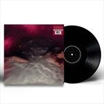 FLOWERS-for-VASES-descansos-2-Vinyl