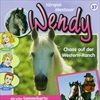 FOLGE-37CHAOS-AUF-DER-WESTERNRANCH-223-CD