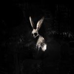FOLLOW-THE-WHITE-RABBIT-Ltd-CD-Digipak-10-CD