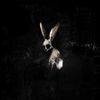 FOLLOW-THE-WHITE-RABBIT-neon-pink-LP-11-Vinyl