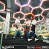 FOOLISH-LOVING-SPACES-VINYL-78-Vinyl