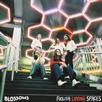 FOOLISH-LOVING-SPACES-VINYL-78-Vinyl