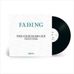 Fading-18-Vinyl