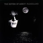 Floodland-3590-Vinyl