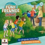 Folge-10-Ein-aufregender-WaldausflugDie-gestohle-29-CD