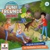 Folge-12-Die-groe-SchatzsucheDie-raetselhaften-F-14-CD