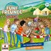 Folge-14-Der-DinosaurierknochenDas-Hundeturnier-12-CD