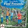 Folge-154-und-die-Geheimbotschaft-in-der-Ruine-33-CD