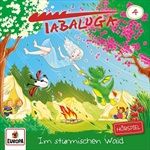 Folge-4-Im-stuermischen-Wald-21-CD