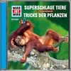 Folge-61-Superschlaue-Tiere-Tricks-der-Pflanzen-211-CD