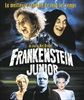 Frankenstein-Junior-1577-