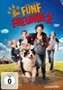 Fuenf-Freunde-2-1400-DVD-D