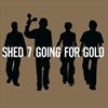 GOING-FOR-GOLD-GREATEST-HITS-2-LP-148-Vinyl