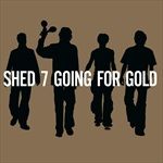 GOING-FOR-GOLD-GREATEST-HITS-2-LP-148-Vinyl