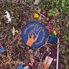 GOOD-LUCK-WITH-WHATEVER-7339-CD