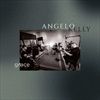 GRACE-8-CD