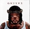 GVESVS-16-Vinyl
