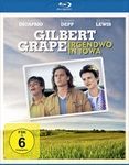 Gilbert-Grape-Irgendwo-in-Iowa-BR-7518-Blu-ray-D