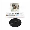 Grinderman-2-LP-20-Vinyl