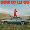 HOW-TO-LET-GO-LTD-SPECIAL-EDITION-2LP-44-Vinyl