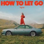 HOW-TO-LET-GO-LTD-SPECIAL-EDITION-2LP-44-Vinyl