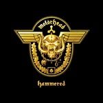 Hammered-5561-Vinyl