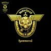 Hammered20th-Anniversary-26-Vinyl