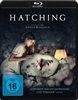 Hatching-BluRay-D-3-Blu-ray-D