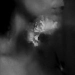 Holding-Absence-4988-CD