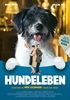 Hundeleben-Das-759-DVD-D