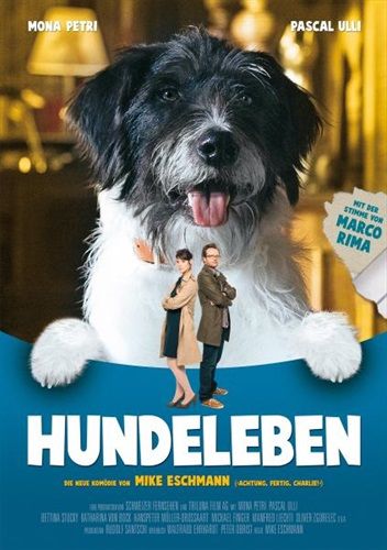 Jetzt bestellen!